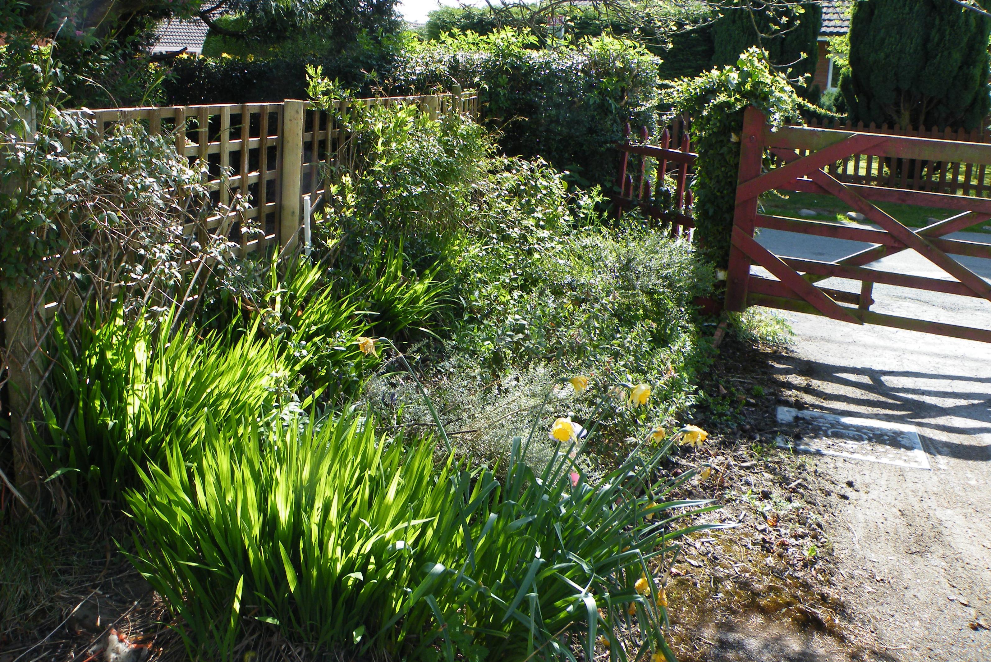 Trellis installed as a support for plant based screening to provide privacy and enhance planting 