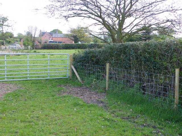 26.04.09_014.jpg