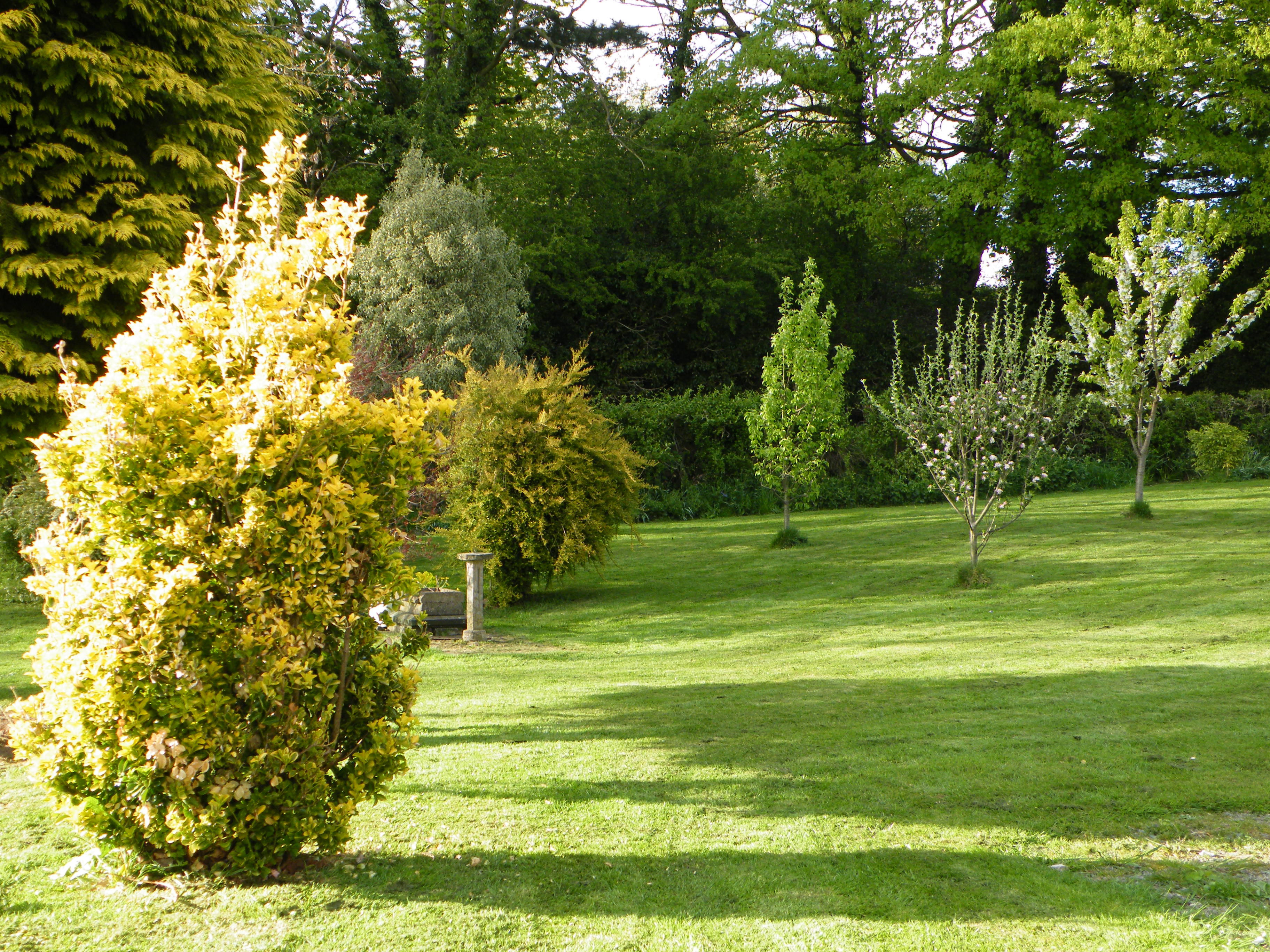 Gentle pruning and care to maintain and enhance the appearance of shrubs and trees as they mature